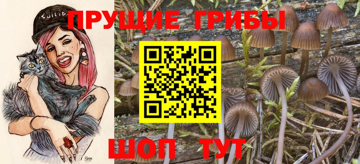 Галлюциногенные грибы Magic Shrooms  Вход с VPN  Елец 